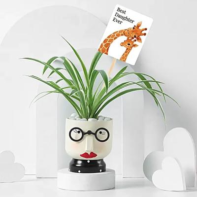 Daughters Day Plant Gift with Resin Pot