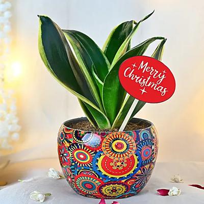 Festive Green Elegance