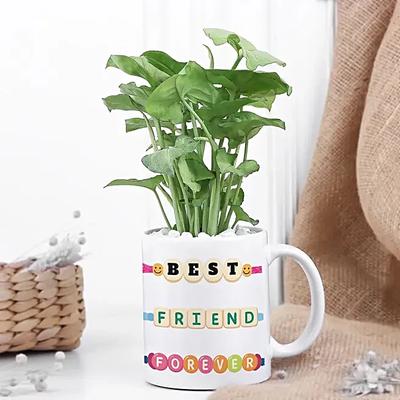 Forever Friends Green Plant