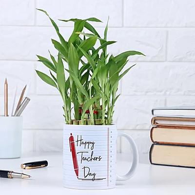 Happy Teachers Day Bamboo Plant Surprise