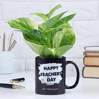 Happy Teachers Day Special Money Plant Mug
