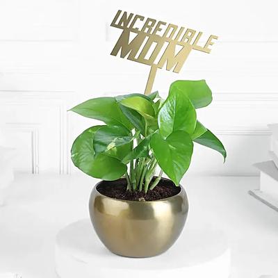 Incredible Mom Green Surprise