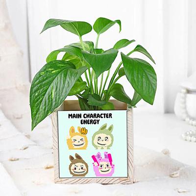 Main Character Energy Green Money Plant