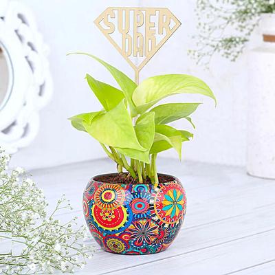 Money Plant Wishes for Super Dads