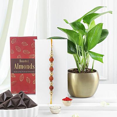 Money Plant with Treats N Blessings