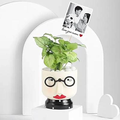 Mothers Day Syngonium Gift Combo