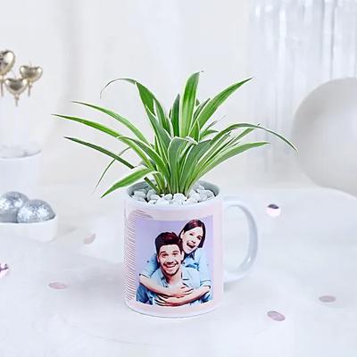 Mugful of Love Greens