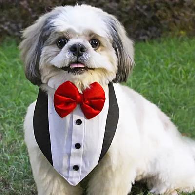 Pawfect Gentleman Tuxedo Bandana