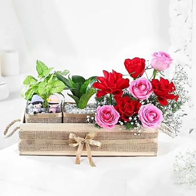 Serenade of Roses N Plants