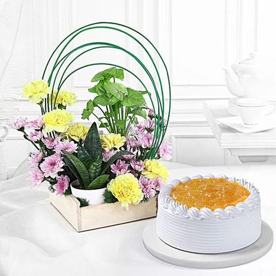 Sunshine Harmony N Pineapple Cream Cake Combo