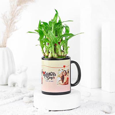 Two Layer Bamboo Plant In Happy Mother Day Special Mug