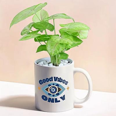 Vibrant Vibes Golden Syngonium