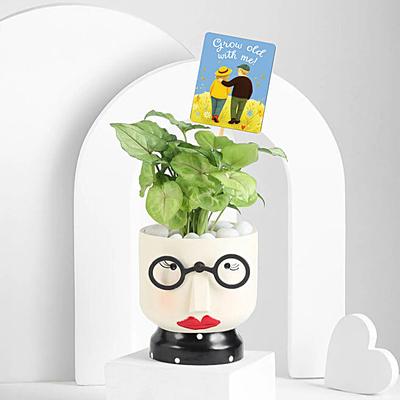 Wife Appreciation Green Gift with Resin Pot