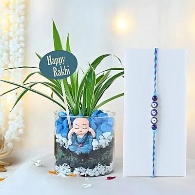 Zen Garden Jar with Spider Plant N Baby Buddha