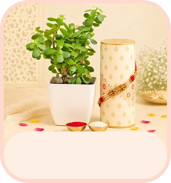 Rakhi with Plants